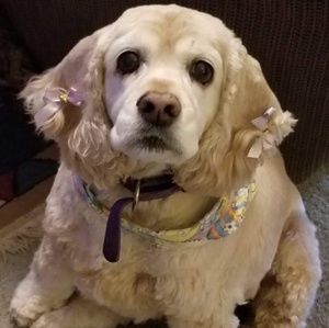 Meet your Posher, Leslie